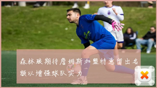 森林狼期待詹姆斯加盟特意留出名额以增强球队实力